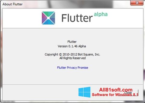 স্ক্রিনশট Flutter Windows 8.1