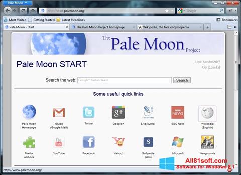 স্ক্রিনশট Pale Moon Windows 8.1