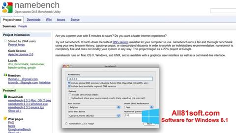 স্ক্রিনশট NameBench Windows 8.1
