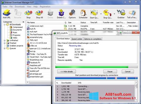স্ক্রিনশট Internet Download Manager Windows 8.1
