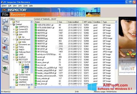 স্ক্রিনশট PC Inspector File Recovery Windows 8.1