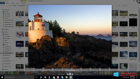 স্ক্রিনশট Picasa Photo Viewer Windows 8.1